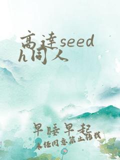 高达seed h同人