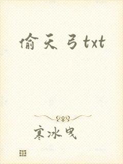 偷天弓txt