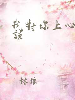 我对你上心了小说
