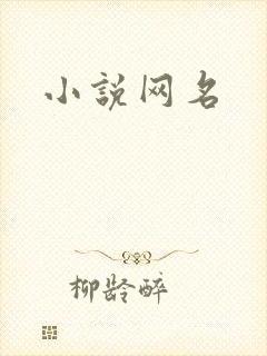 小说网名
