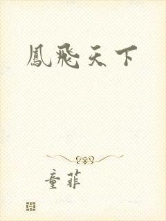 凤飞天下