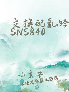 交换配乱吟粗大SNS840