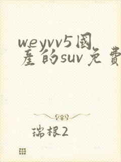 weyvv5国产的suv免费