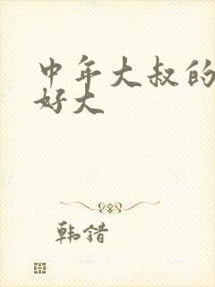 中年大叔的包包好大