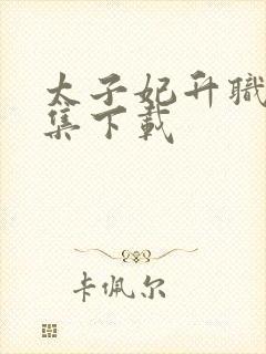 太子妃升职记全集下载