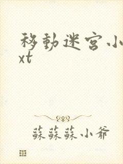 移动迷宫小说txt