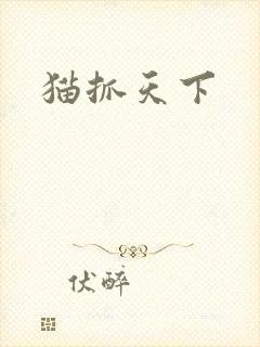 猫抓天下