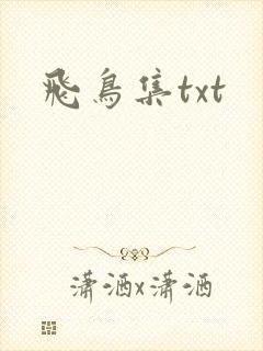 飞鸟集txt