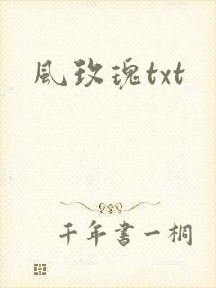 风玫瑰txt