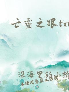 亡灵之眼txt