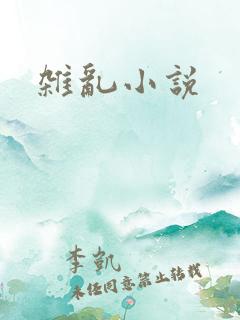 杂乱小说