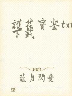 护花宝鉴txt下载