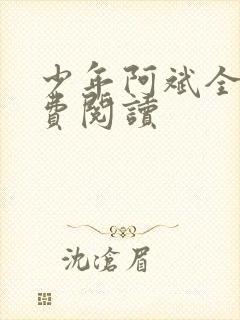 少年阿斌全文免费阅读