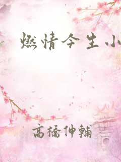 燃情今生小说