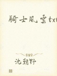 骑士风云txt