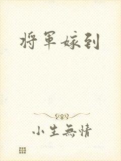 将军嫁到