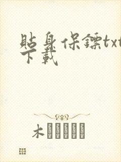 贴身保镖txt下载