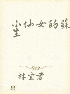 小仙女的苏撩先生