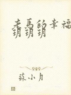 老马的幸福生活玥玥玥