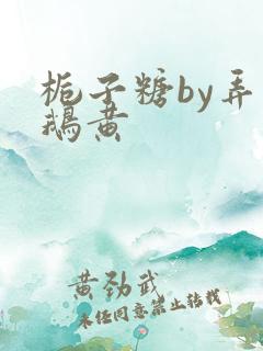 栀子糖by弄白鹅黄