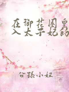在御花园皇上进入太子妃的小说