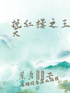 挽红楼之玉舞九天