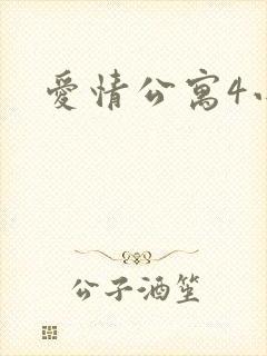 爱情公寓4小说