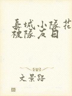 长城小队花木兰被队友日