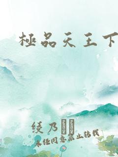 极品天王下载