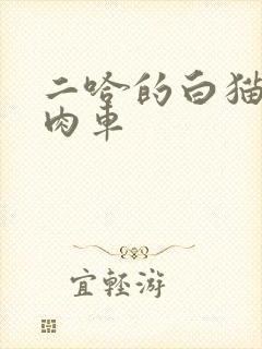 二哈的白猫师尊肉车