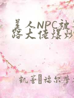 美人NPC被各路大佬爆炒小说