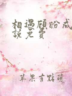 相遇顾盼成欢小说免费