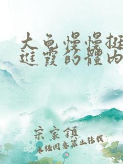 大龟慢慢挺进王进霞的体内