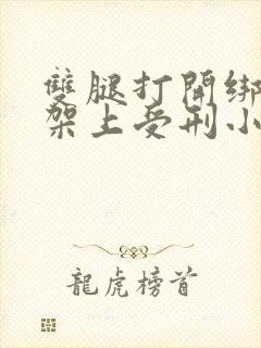 双腿打开绑在刑架上受刑小说