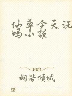 仙尊今天洗白了吗小说