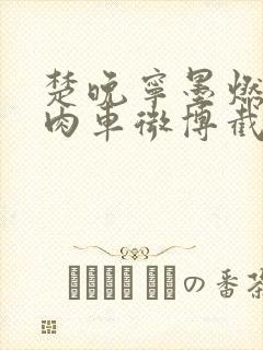 楚晚宁墨燃所有肉车微博截图