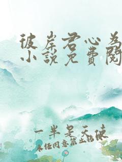 彼岸君心为我倾小说免费阅读