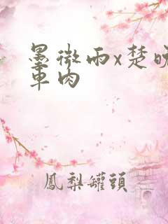 墨微雨x楚晚宁车肉