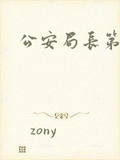 公安局长第4部