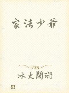 家法少爷