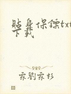 贴身保镖txt下载