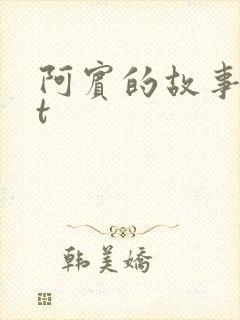 阿宾的故事txt