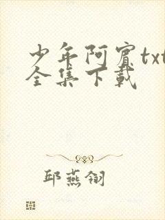 少年阿宾txt全集下载