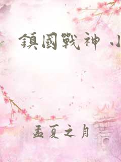 镇国战神 小说