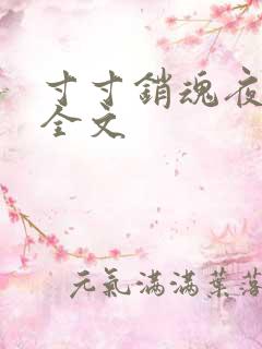 寸寸销魂夜春光全文