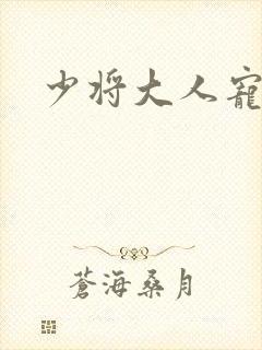 少将大人宠宠我