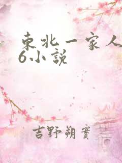 东北一家人1一6小说