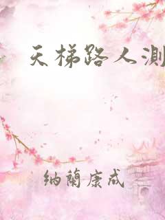 天梯路人测试器