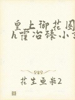 皇上御花园Hlh霍冶臻小说