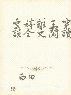 云婷离王穿越小说全文阅读